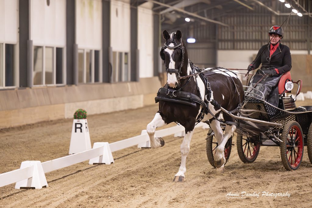 Rinze van Teijen bokaal kampioene Sandra Rusticus met Kylano